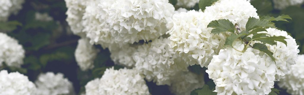 à propos facialiste paris 16 respiration