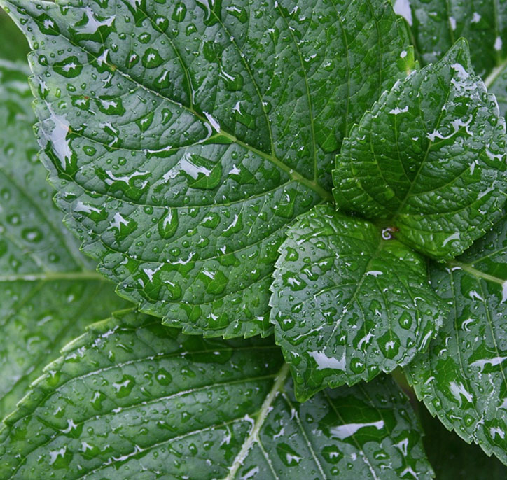 accueil facialiste paris carte cadeau ambiance