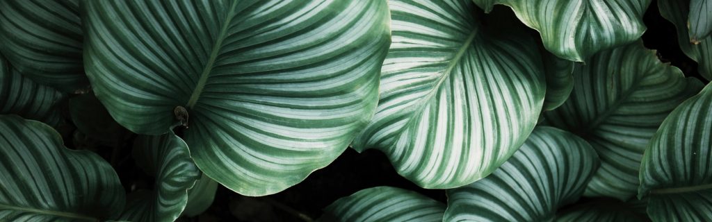 soin contour yeux facialiste paris ambiance