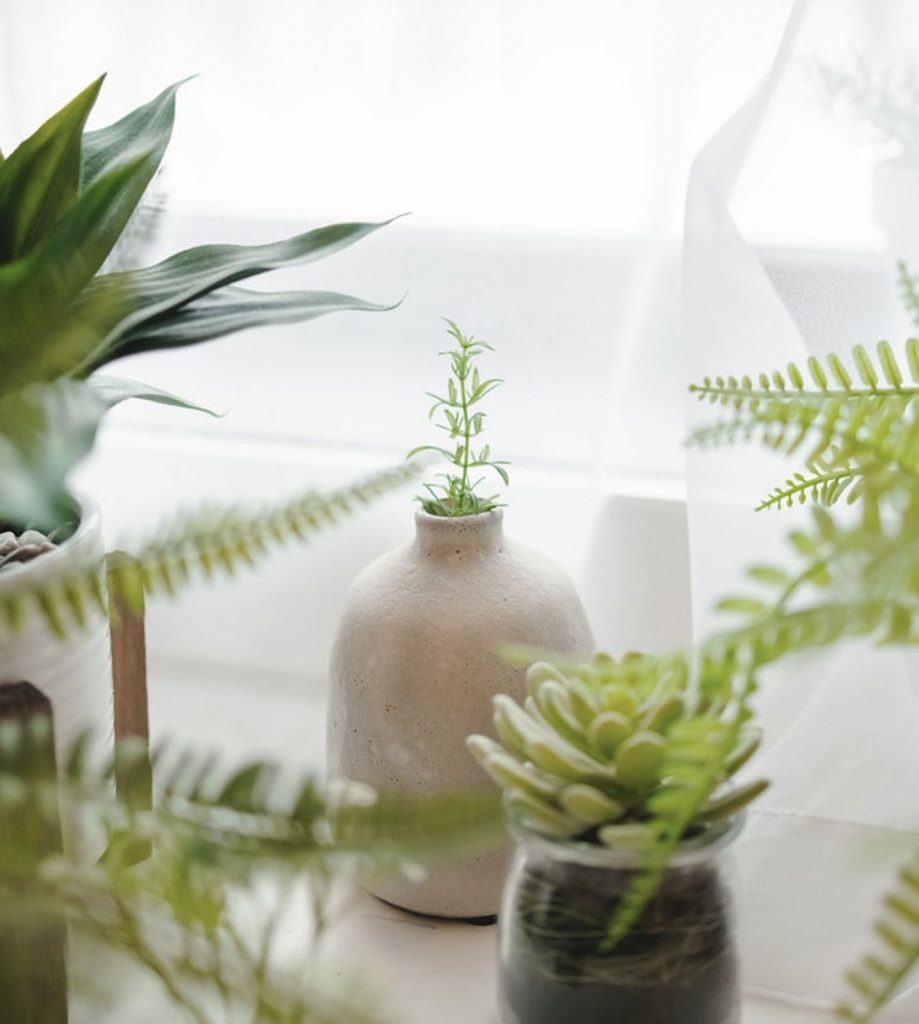 soin visage facialiste paris pourquoi me choisir