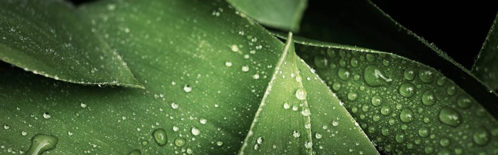 soin visage facialiste paris respiration