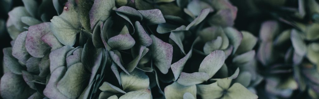 soin visage facialiste paris stretching ambiance